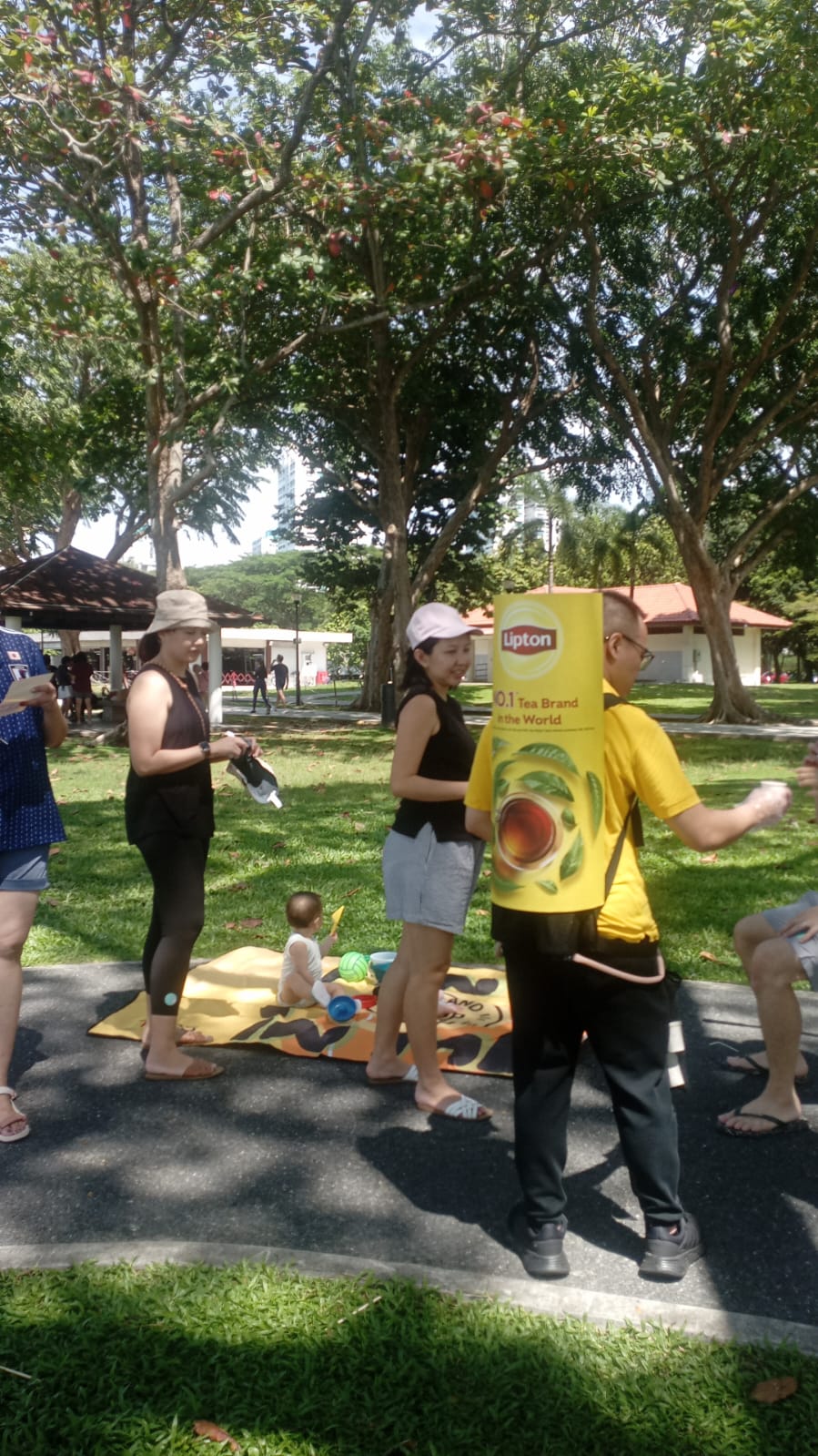Lipton Tea sampling